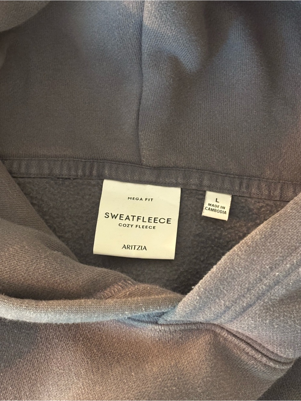Aritzia Cozy Sweatfleece Mega Raglan Hoodie - Picture 2 of 4